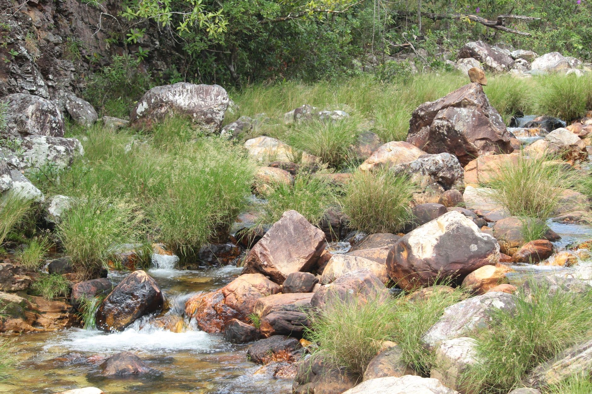 Reserva Natural El Paraíso