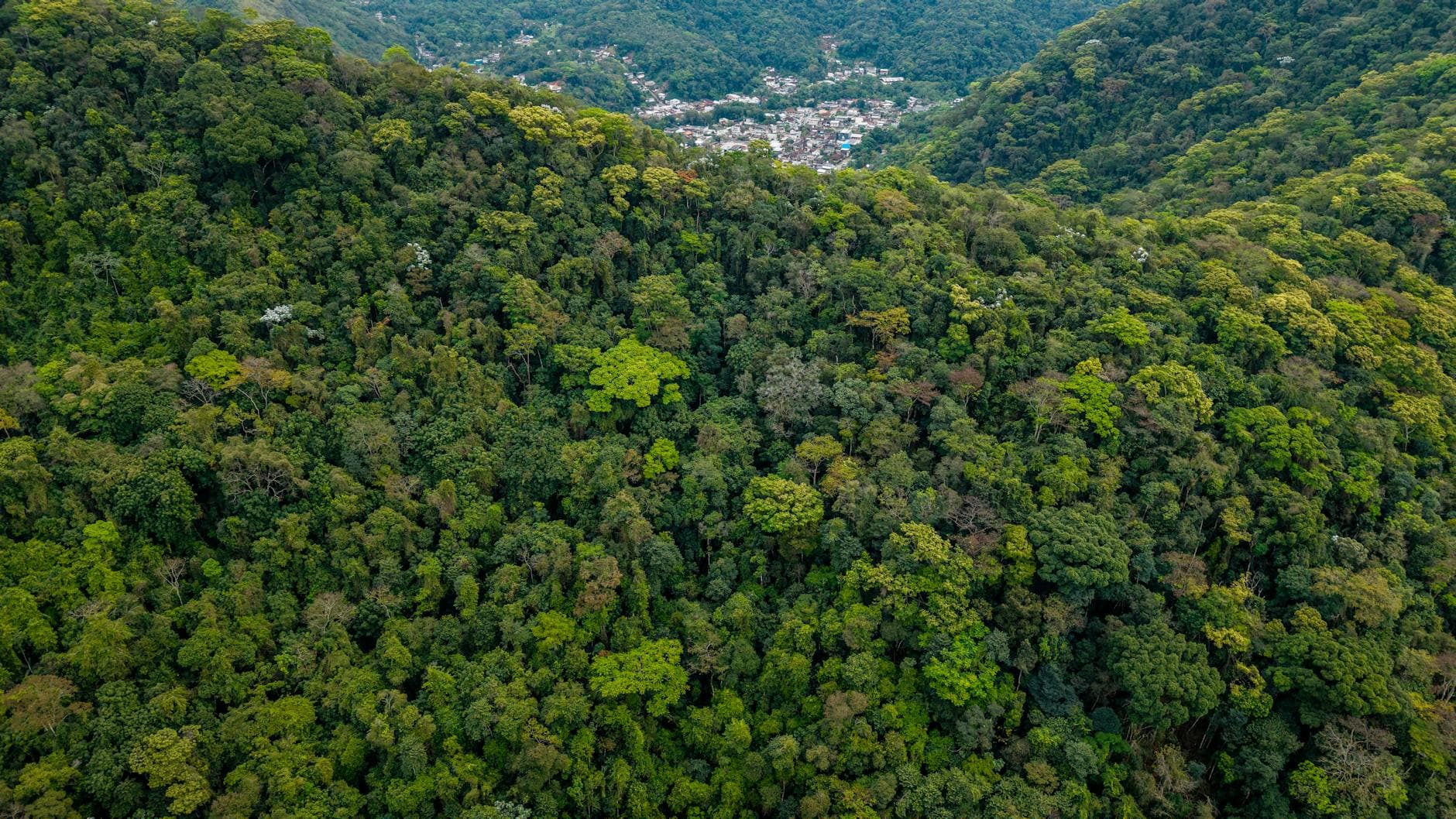 Parque Ecológico La Loma de los Frailes (Las Matas de Farfán)