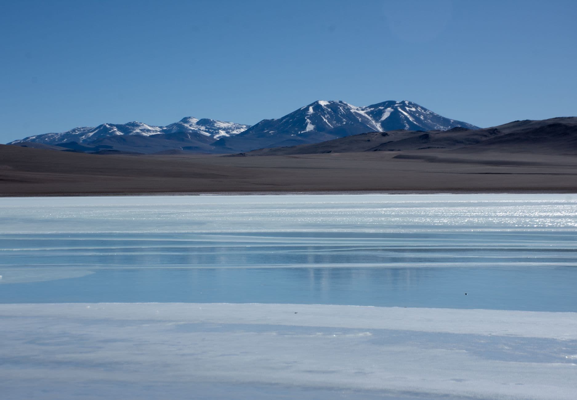 Laguna de Observación de Aves de Polo