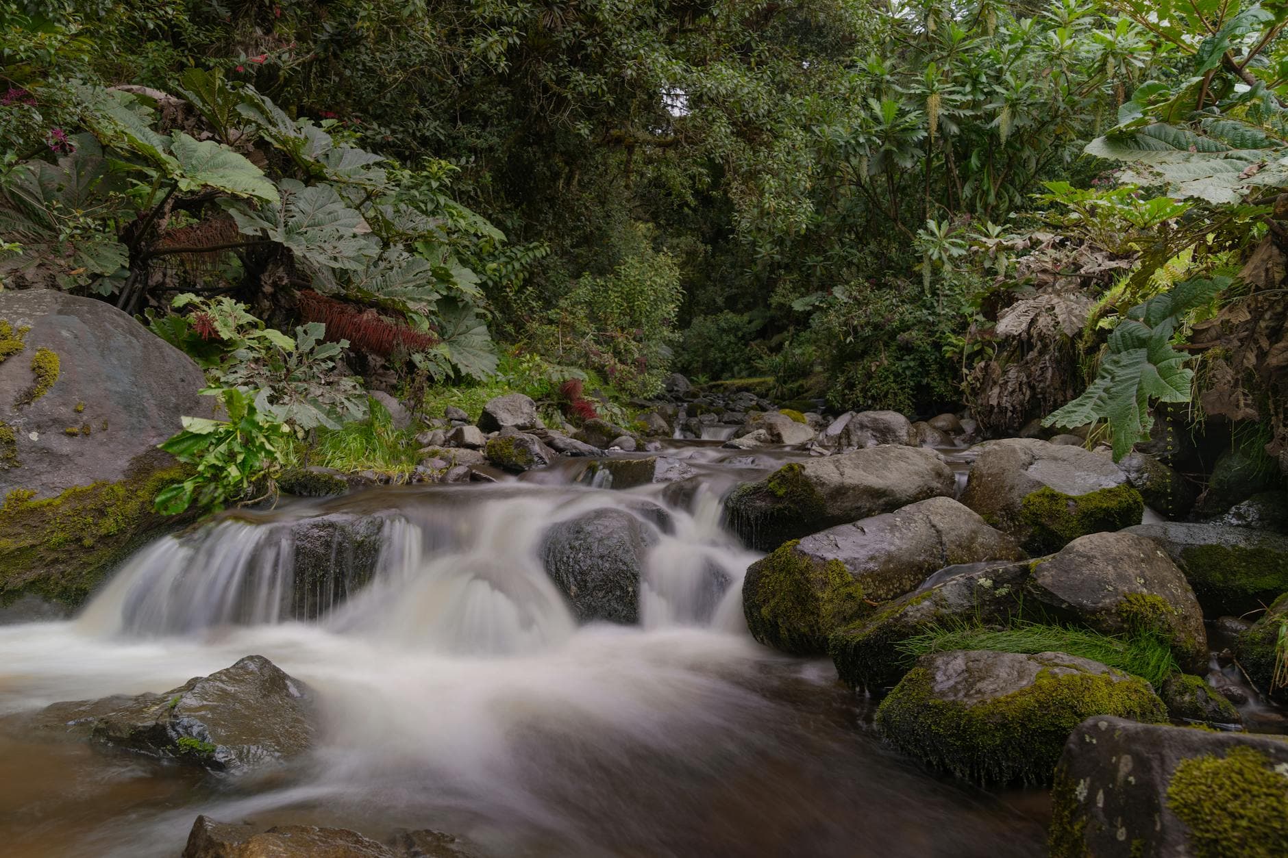 Parque Ecológico Cañada de los Guineos