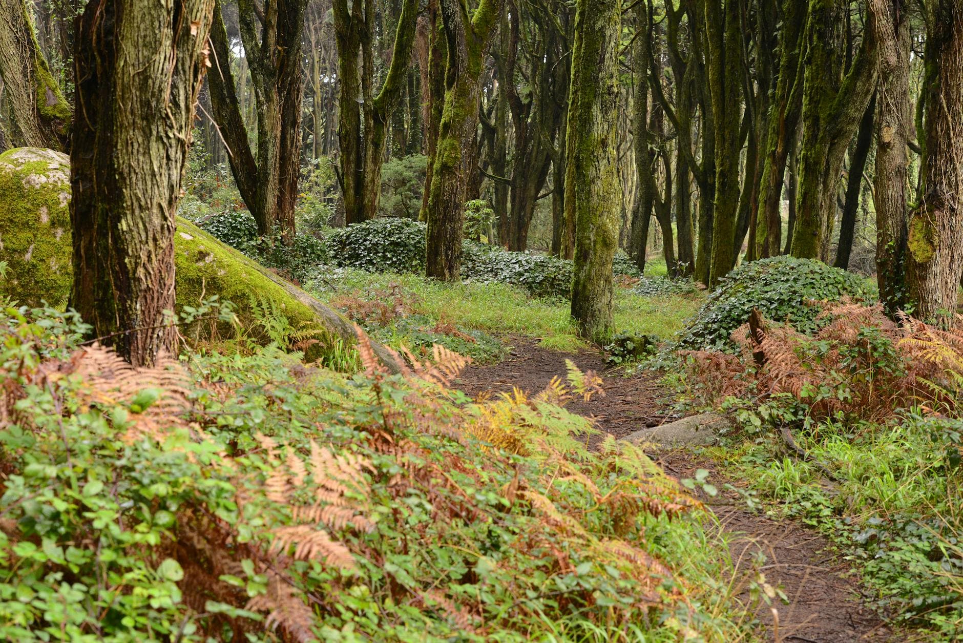 Parque Ecológico La Sierra de Estebanía