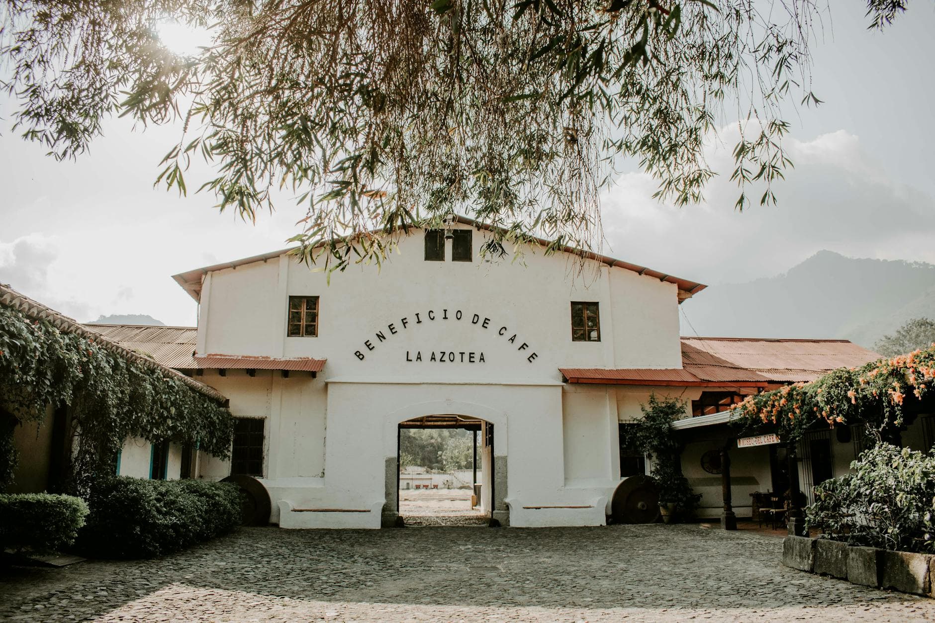 Plaza Cultural del Café