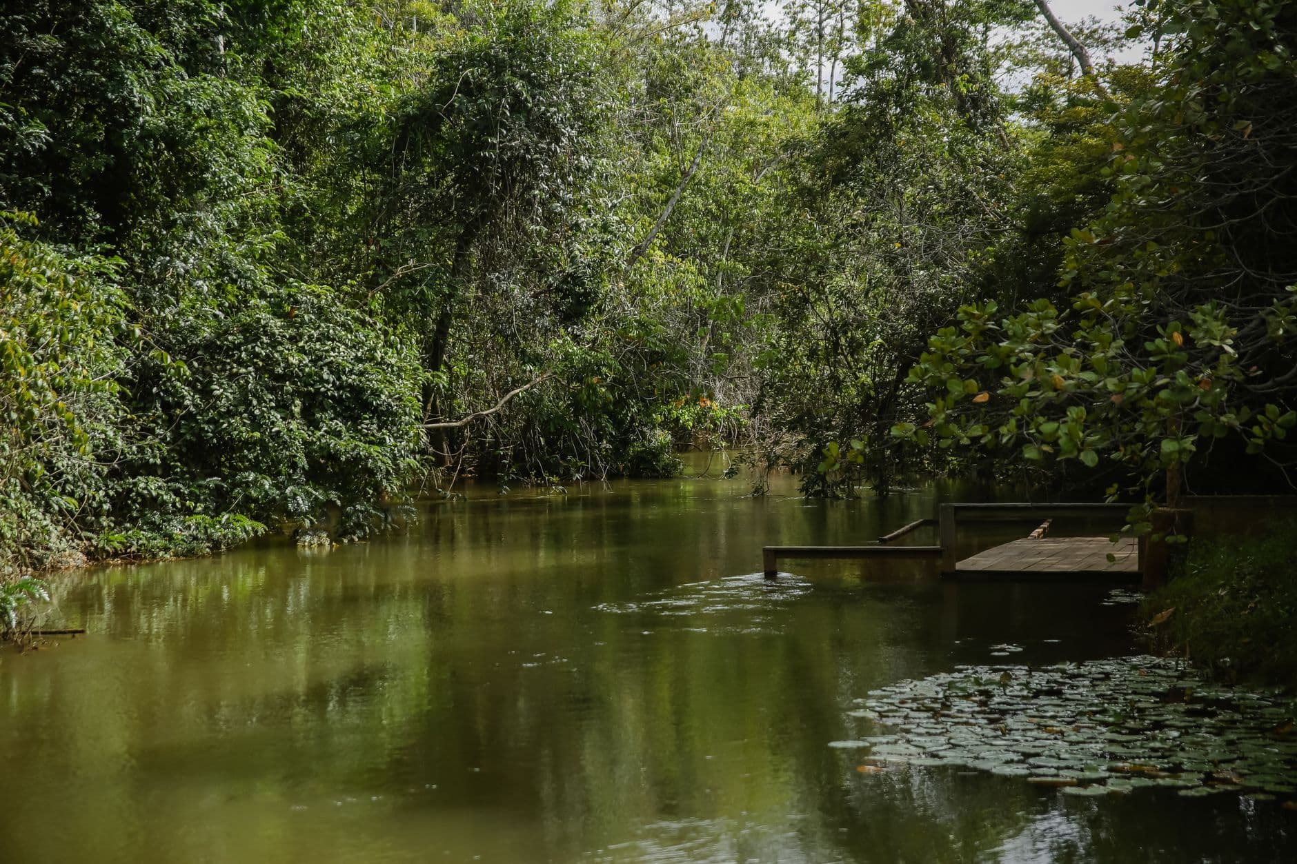 Parque Ecológico Los Mangos (Los Hidalgos)