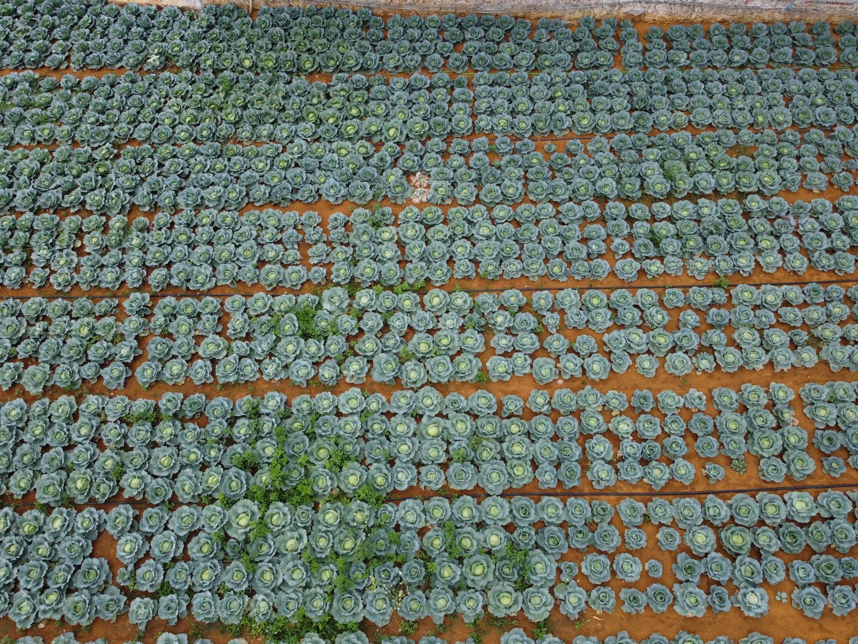 Parque Agroecológico La Loma