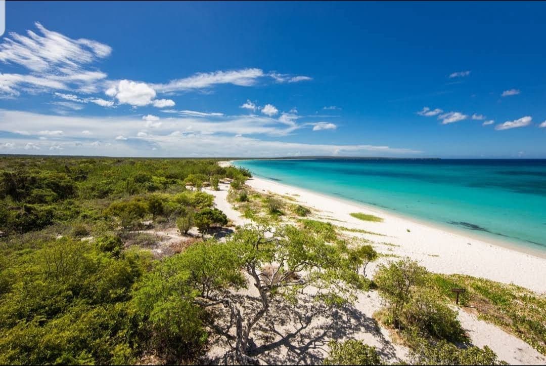 Bahía de las Águilas