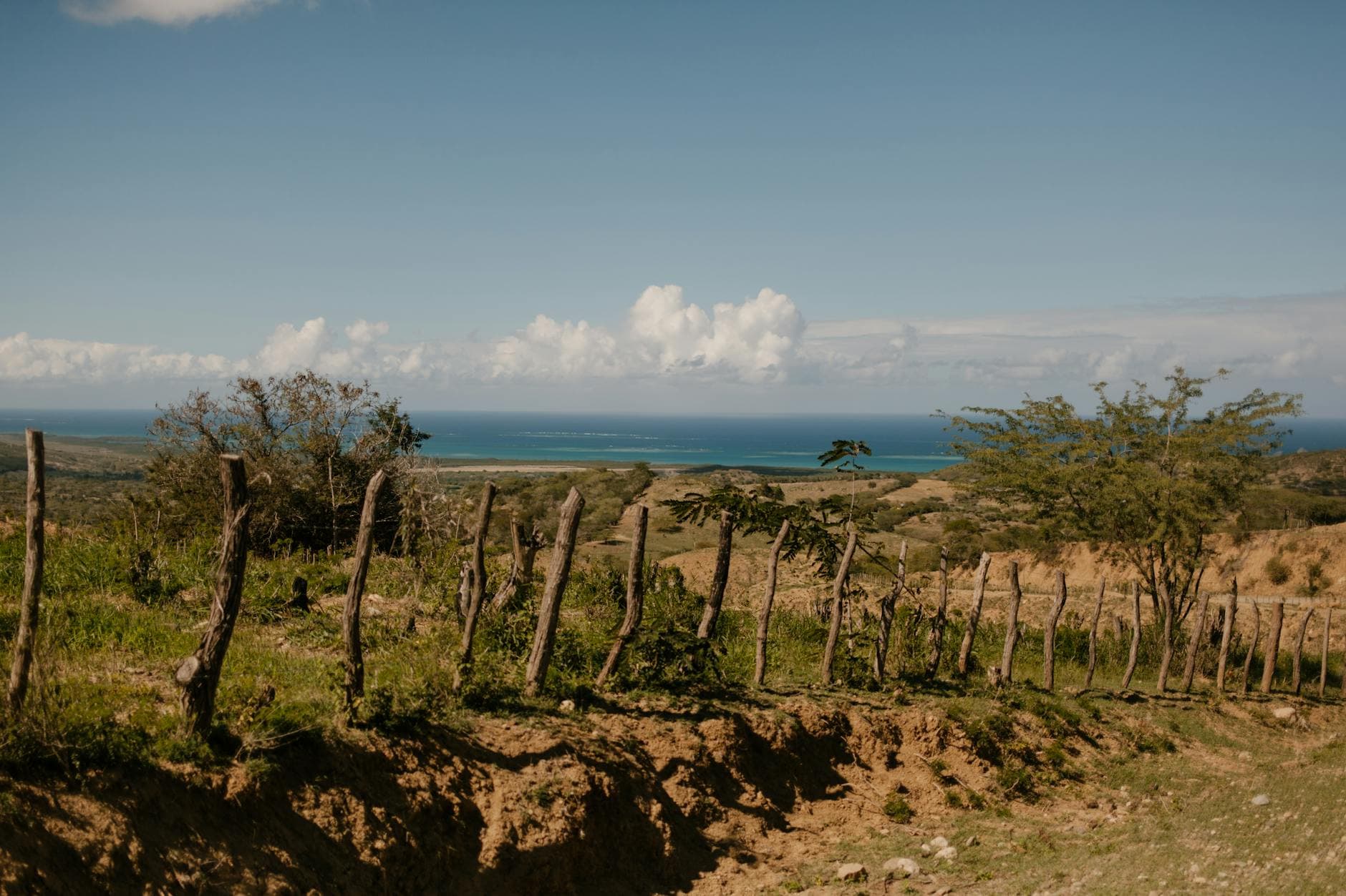 Bayaguana