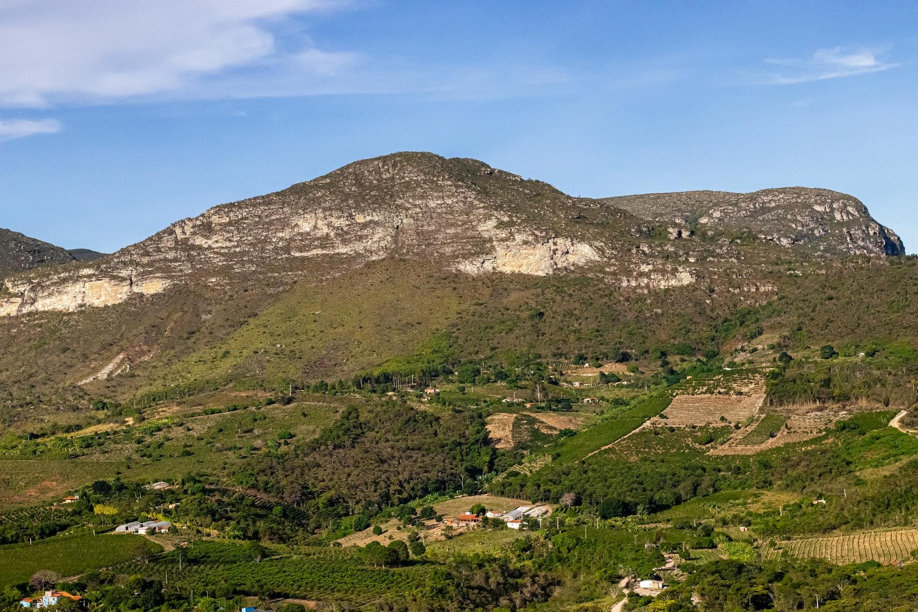 Constanza