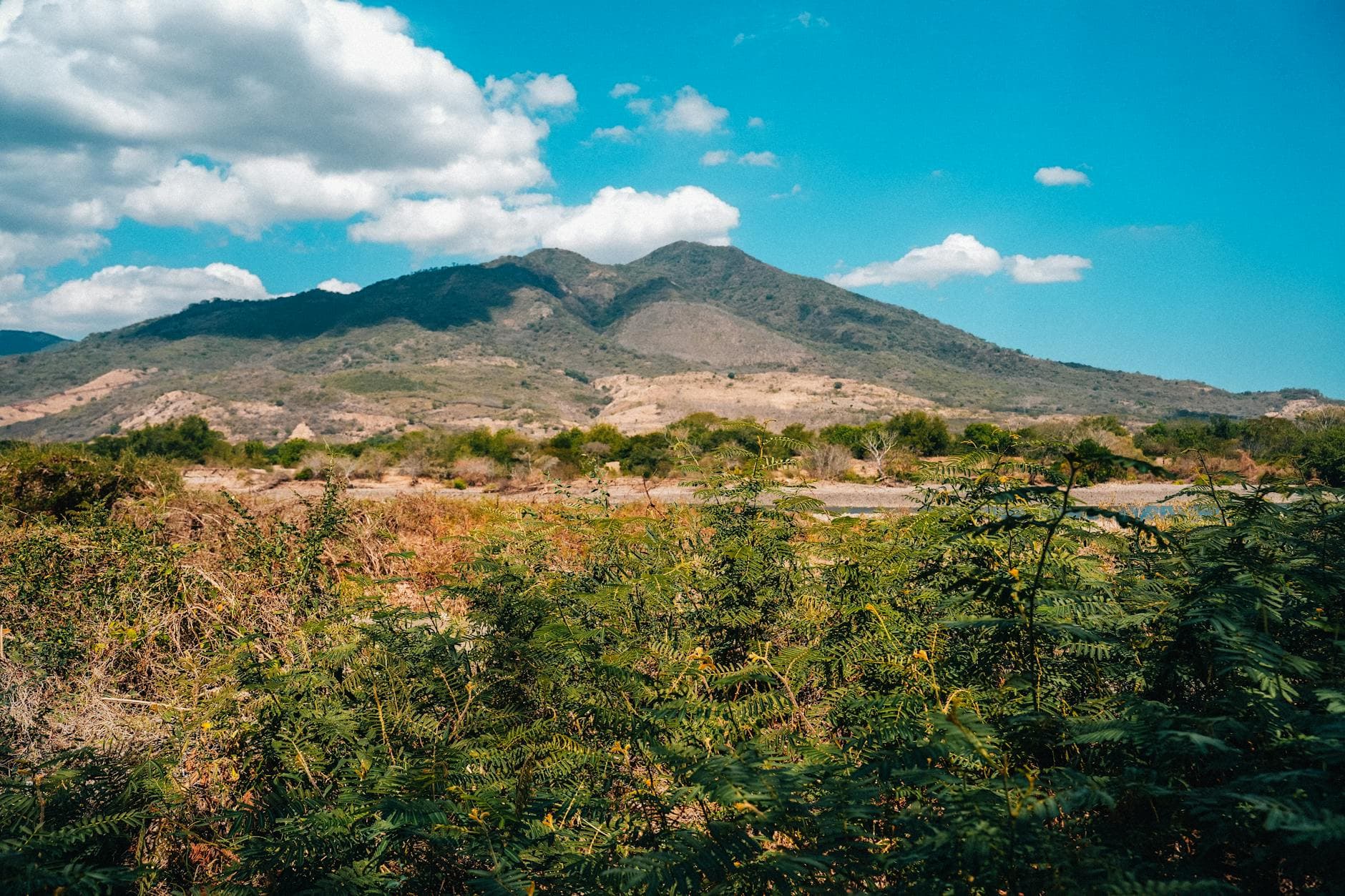 El Cercado
