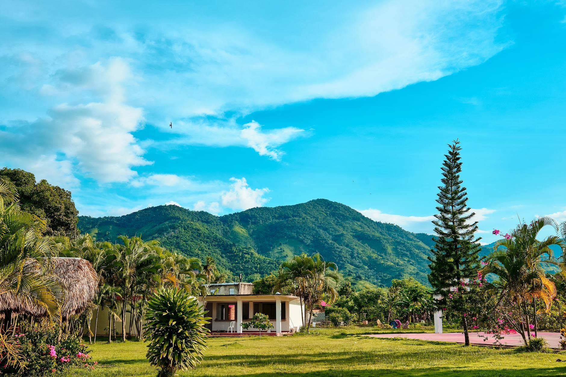 Valle Nuevo